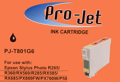 Projet ink T0801 Epson printer R360 P50 PX730WD R265 RX560 R285